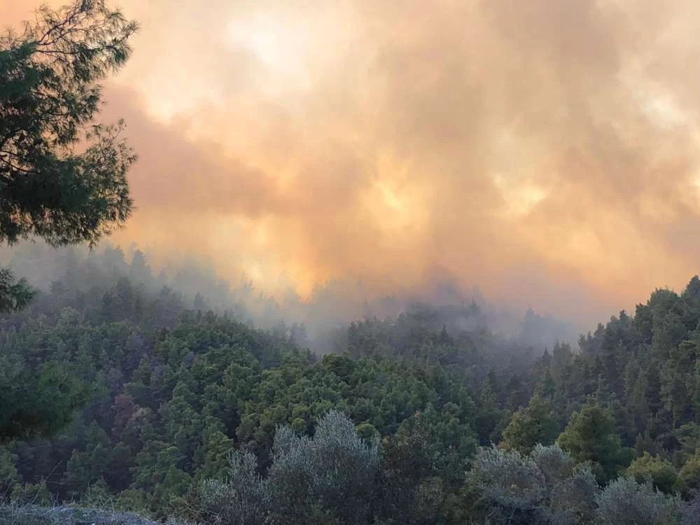 Πύρινη «κόλαση» στη Σιθωνία – Κάτοικοι εγκαταλείπουν τα σπίτια τους στο χωριό Σάρτη – Κηρύχθηκε κατάσταση έκτακτης ανάγκης